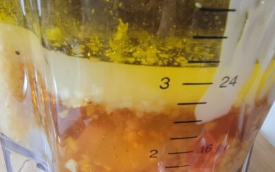 Sunshine Cilantro Lemon Vinaigrette